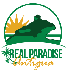 real_ant_logo